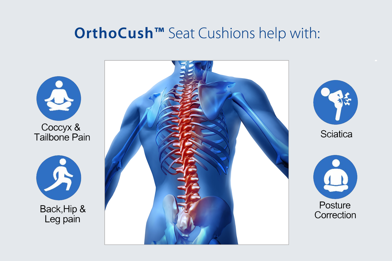 OrthoCush Support Helps With